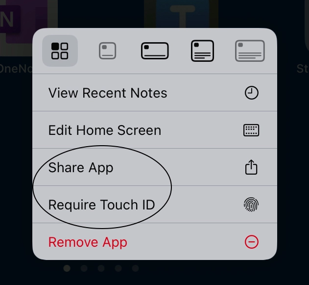 Share App and Touch ID app menu options on iPadOS 18